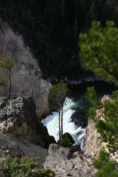 Brink of Lower Yellowstone Falls stock photo