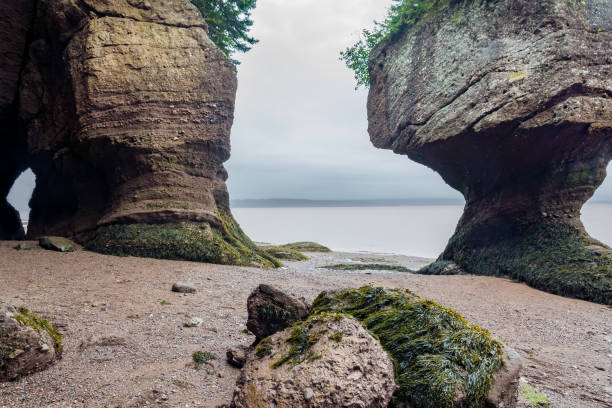 bay of fundy - horizontal nova scotia bay of fundy bay imagens e fotografias de stock