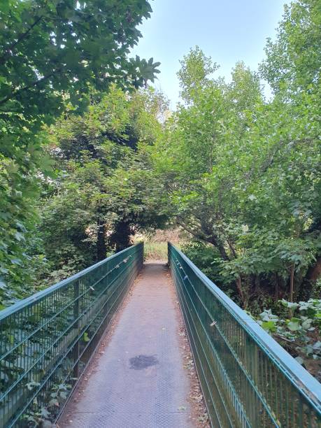 istock A bridge over a river with trees in the background 1520404284
