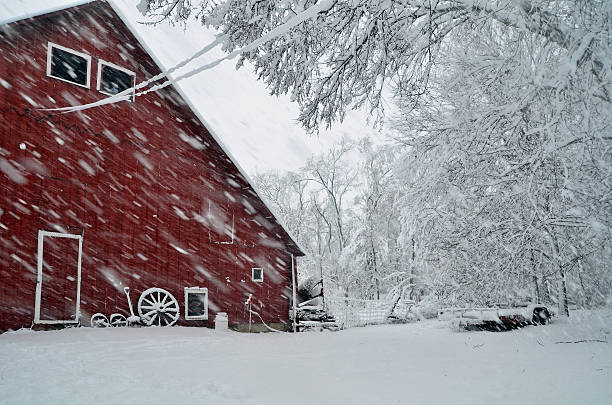 istock Artistic Snowstorm on the farm 152041394