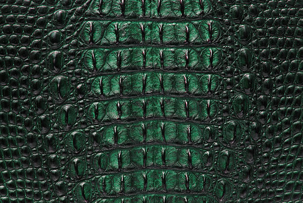 istock Green freshwater crocodile bone skin texture background. 152044281