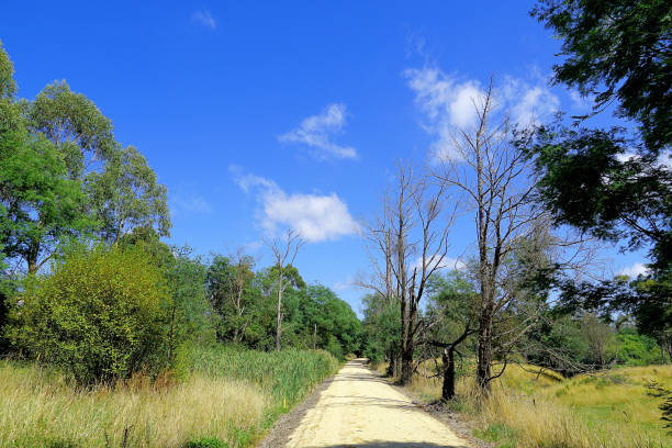 A scene along The Great Southern Rail Trail. It is suitable for both the energetic and not so energetic outdoor enthusiast. From Nyora the trail goes through Loch, Korumburra, Leongatha Koonwarra, Meeniyan, Stony Creek, Buffalo, Fish Creek, Foster, Toora, Welshpool and Port Welshpool,