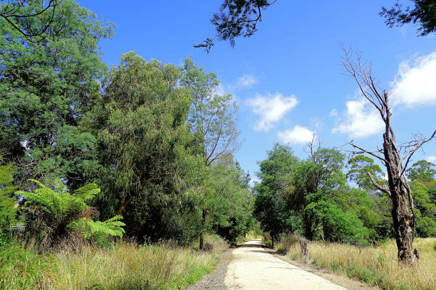 istock Kurumburra,  Victoria,  Australia 1520468625