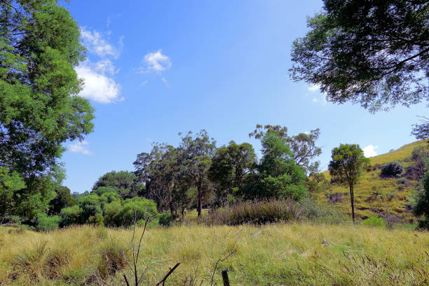 istock Kurumburra,  Victoria,  Australia 1520468626