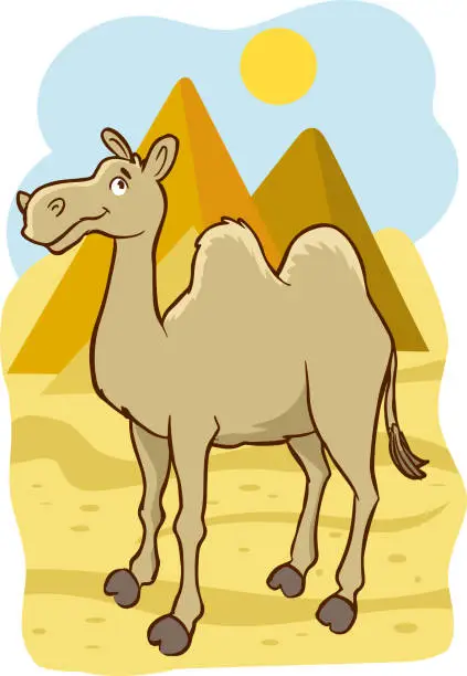 Vector illustration of camel in Egyptian desert with pyramids. Vector cartoon illustration of landscape with, yellow sand dunes, ancient pharaoh tombs and hot sun in sky
