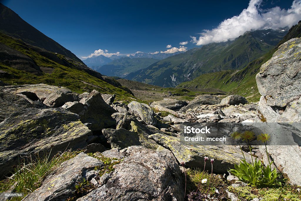 Verano vista alpina, trek en Grand Combin - Foto de stock de Aire libre libre de derechos