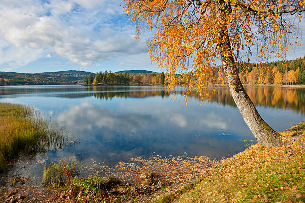 istock Lake Bogstad in Oslo, Norway 152051116
