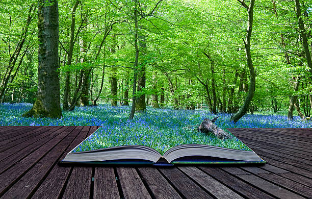 istock Bluebell wood in magical landscape book 152053002