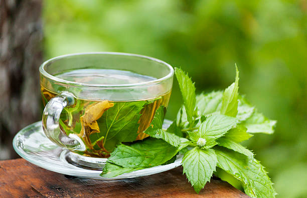 por la mañana, té de menta en el jardín verde - mint tea peppermint tea green tea fotografías e imágenes de stock