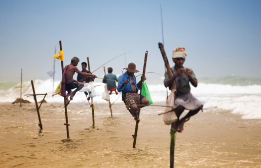 The stilt fishermen in the sea, Sri Lanka, Asia.
