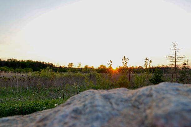 istock Sunset landscape - grass field - rock in foreground 1520565871