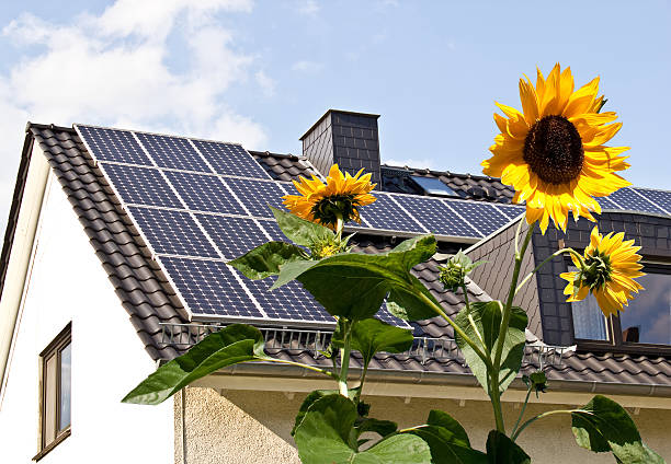 painéis solares no telhado com flores de sol - klimaschutz - fotografias e filmes do acervo