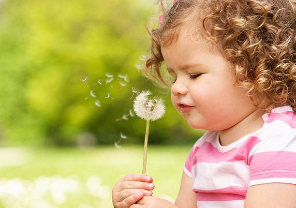 istock Young Girl Sitting In Field Blowing Dandelion 152060593
