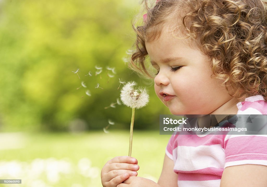 Young Girl Sitting In Field Blowing Dandelion Young Girl Wearing Summer Dress Sitting In Field Blowing Dandelion During Summers Day 12-23 Months Stock Photo