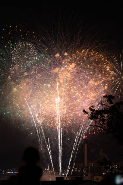 istock Colorful and Bright 4th of July Fireworks 1520689864