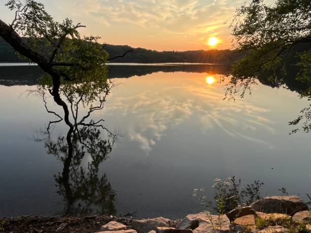 istock Reflection of Sky and Tree in Pond 1520691923