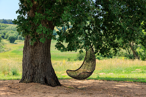 Tree hanging chair in Tuscan garden