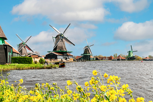 Typical Dutch landscape : Zaanse Schans mills, near Amsterdam