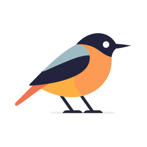 Cute simple bird flat vector Cute simple bird flat vector illustration robin birds stock illustrations