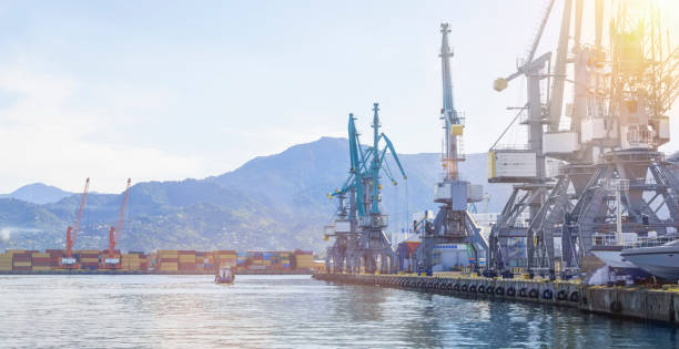 istock Seascape with loading cranes and stacks of cargo containers 1520854334