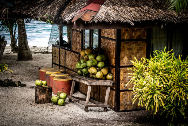 Beautiful Cottage with coconuts in a paradise beach resort in the Philippines. People can visit the island paradise to have fun and relax on their vacations.