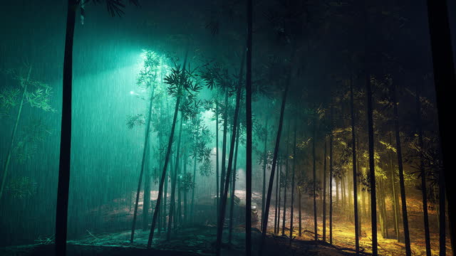 Fresh Bamboo Forest on a Rainy Night