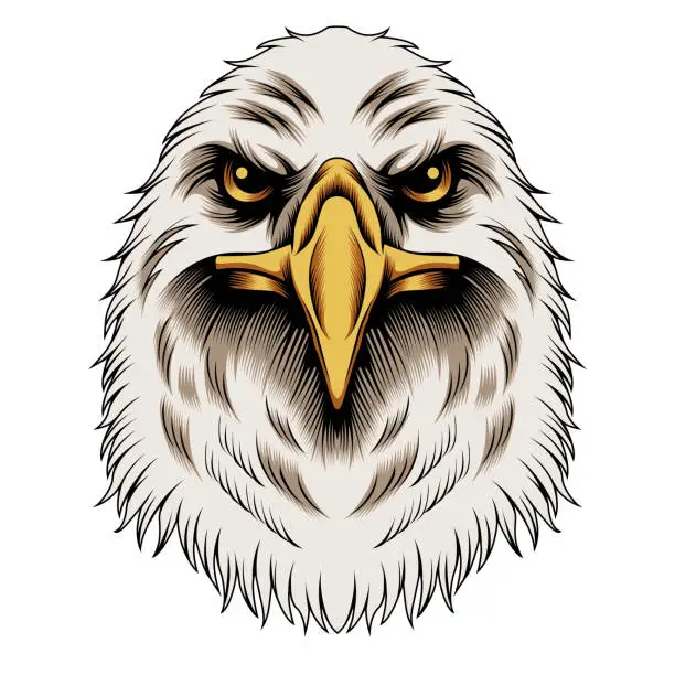 Vector illustration of Eagle head vector illustration
