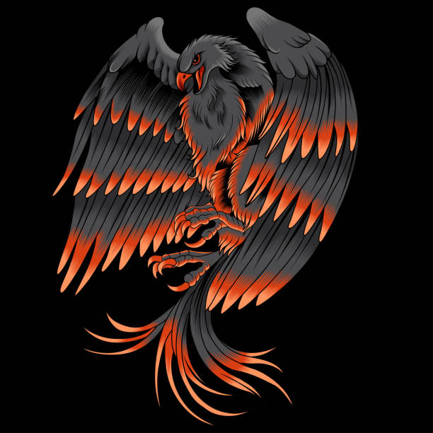 векторная иллюстрация феникса - phoenix fire tattoo bird stock illustrations