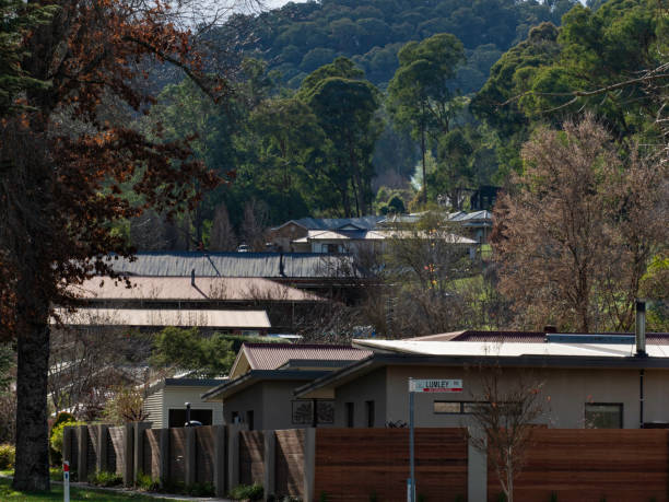istock Suburban neighbourhood 1520950041