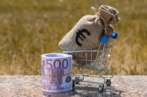Money bag with euro symbols in a miniature shopping cart and rolled up 500 euro banknotes