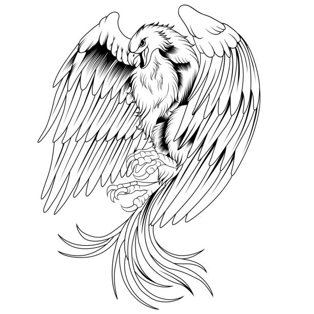 векторная иллюстрация феникса - phoenix fire tattoo bird stock illustrations