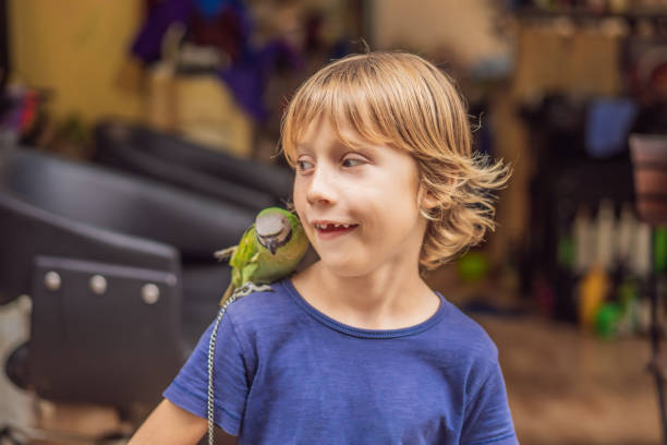 istock Kid playing with his pet green parrot 1520979695