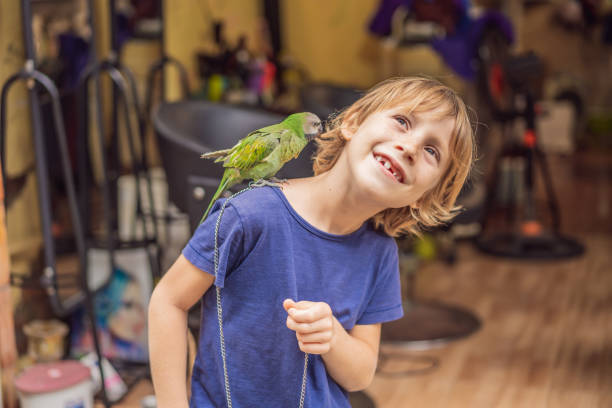 istock Kid playing with his pet green parrot 1520979700