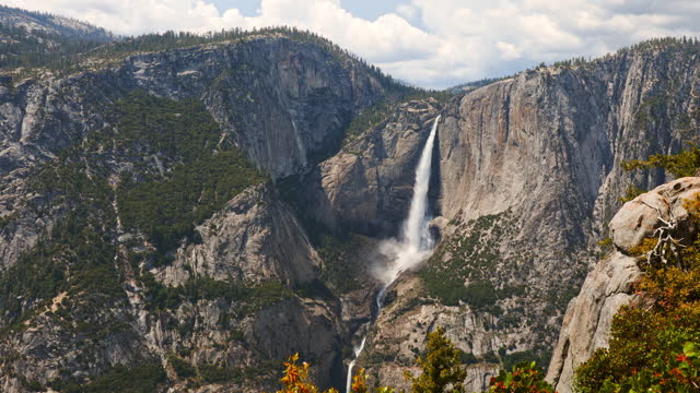 Wide shot of powerful Yosemite Falls flowing from record season snowmelt