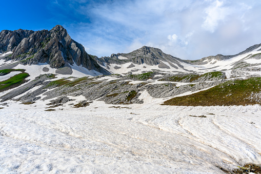 The snowdrifts and green grass on top of mountains in the tropical forest. The alpine mountains and meadows.