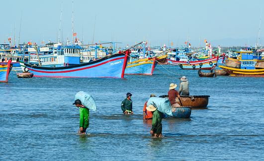 Binh Thuan, Vietnam - Jan 28, 2016. People working at Co Thach fishing pier in Binh Thuan, Vietnam. Binh Thuan is located on the country South Central Coast.