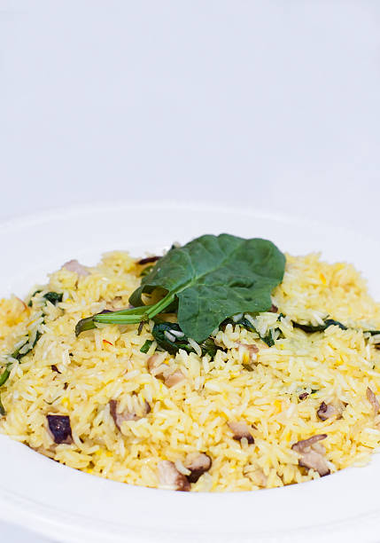 Arroz Pilau - fotografia de stock