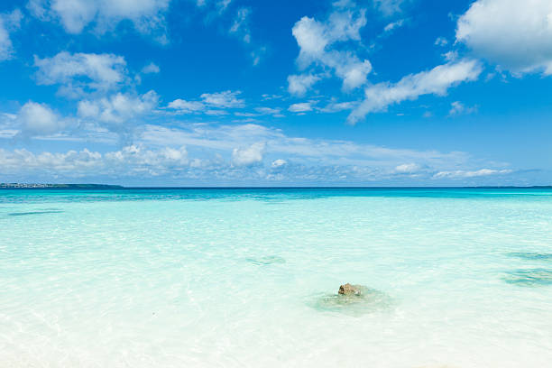 White sand coral beach and clear blue water, Tropical Japan White sand tropical beach with horizon over clear blue sea and coral reef, Miyako Island, Okinawa, Japan miyakojima island photos stock pictures, royalty-free photos & images