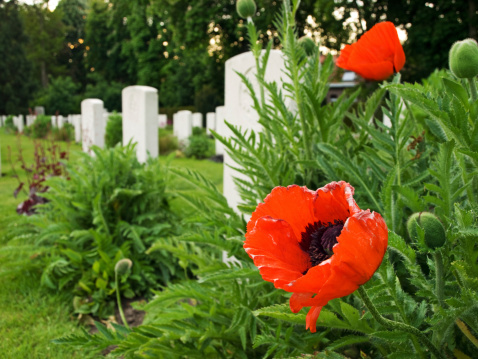 Ypres Reservoir Cemetery in West Flanders, Belgium with graves of soldiers of the First World War and poppies as a symbol of Remembrance Day.