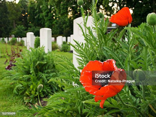 Ypres Reservoir Cemetery Stock Photo - Download Image Now - Poppy - Plant, Remembrance Day, Remembrance Sunday