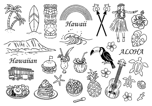 Hawai Edrawing Hawaii Illustration Set Handdrawn Black And White Line Drawing Stock ...