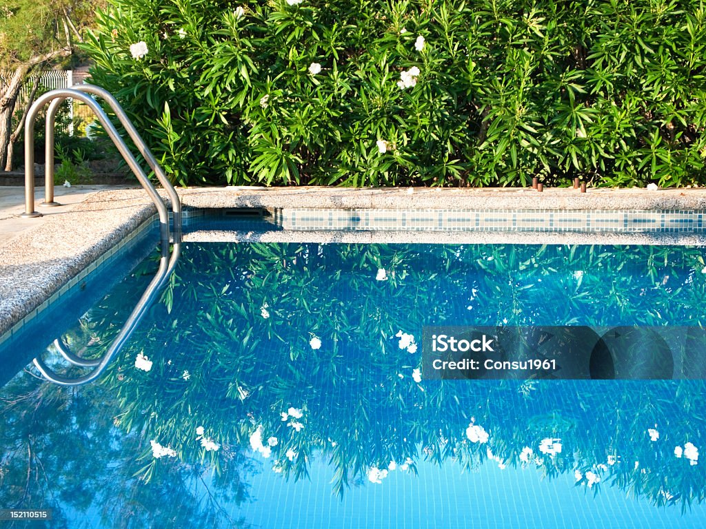 La piscina - Foto de stock de Agua libre de derechos