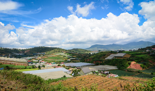 Landscape of many plantations on the hill in Dalat, Vietnam