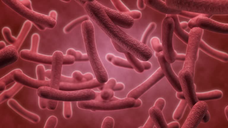 Bacteria seen under a scanning microscope, 3D animation.