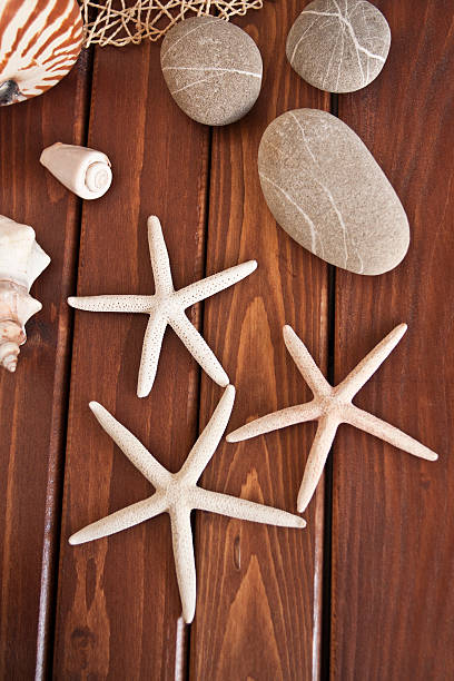 istock Starfish on the wood 152112163