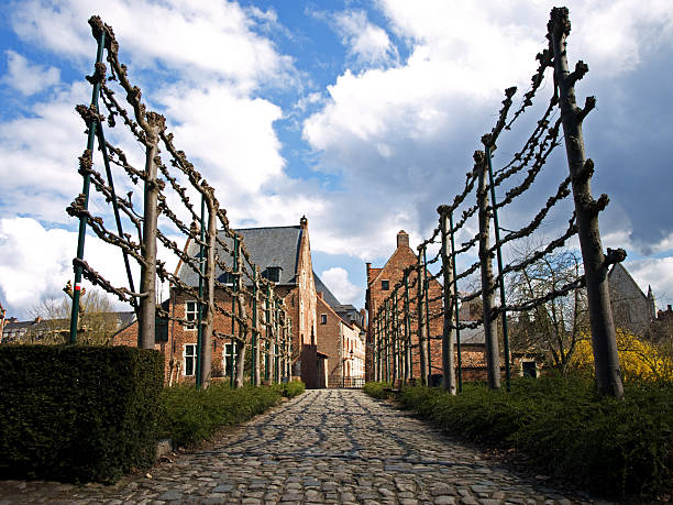 istock Leuven Grand Beguinage 152112290