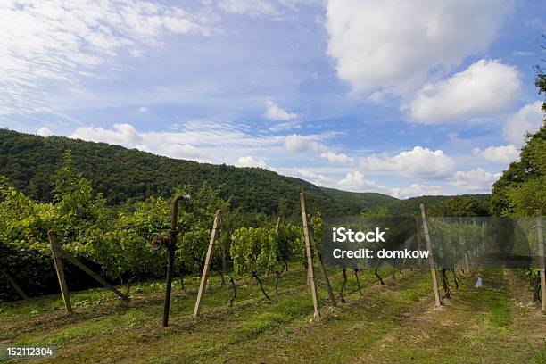 Winnica Sobes - zdjęcia stockowe i więcej obrazów Dolina - Dolina, Fotografika, Horyzont
