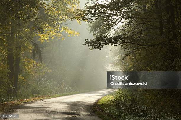 Picturesque Forest Lane At Dawn Stock Photo - Download Image Now - Road, Aspirations, Autumn