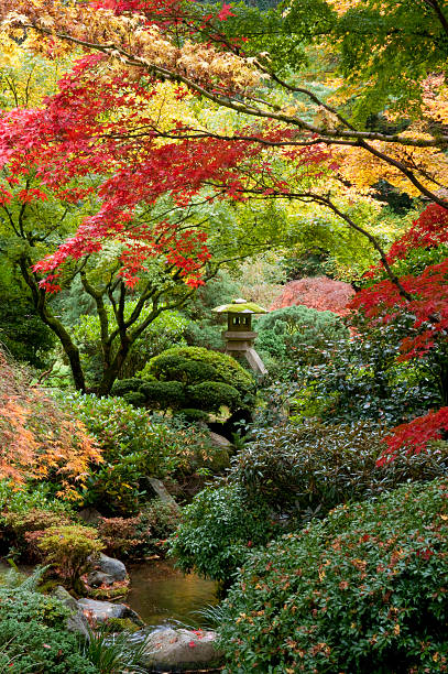 istock Shrine in Japanese garden 152112777