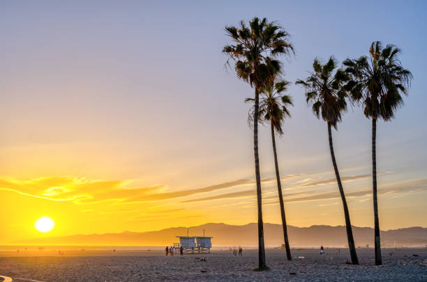 istock The famous Venice Beach in Los Angeles 1521144262